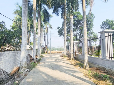 S. phẩm đất view hồ mặt tiền 6m 100m thổ cư tại đồng trạng, cổ đông, sơn tây. gần khu đô thị hòa 3