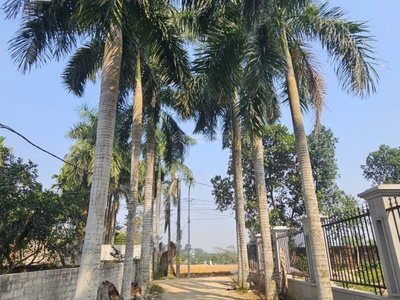 Cơ hội sở hữu 100m thổ cư view hồ tại đồng trạng, sơn tây. gần đô thị hòa lạc, đại học quốc gia, 3