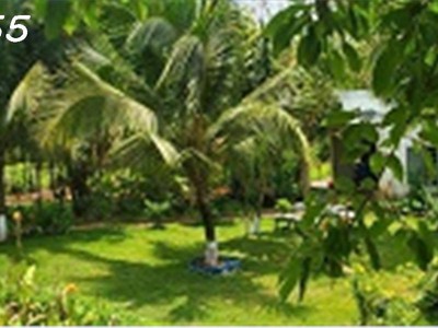 Bán rẻ siêu phẩm resort nghỉ dưỡng rộng 6.500m2 cực đẹp như đà lạt, ngay đường nhựa dân cư 3