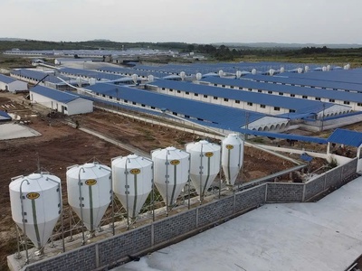 Bán trang trại heo 26 ha -chư prông, gia lai. quy mô 18.000 heo thịt, đang cho thuê 1.1 tỷ/tháng 4