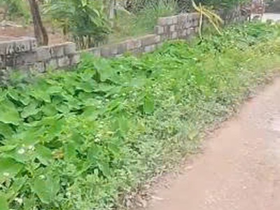 Chính chủ bán lô đất tdp sơn hậu phường tĩnh gia , tỉnh thanh hóa 3