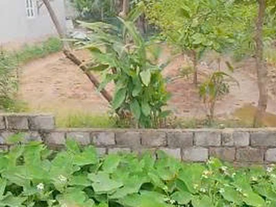 Chính chủ bán lô đất tdp sơn hậu phường tĩnh gia , tỉnh thanh hóa 4