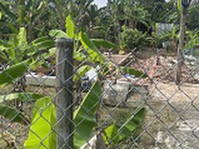 Chủ gửi bán gấp   đất rộng gần 1.500m    măng thít, vĩnh long 1