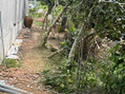 Chủ gửi bán gấp   đất rộng gần 1.500m    măng thít, vĩnh long 2