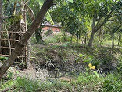 Chủ gửi bán gấp   đất rộng gần 1.500m    măng thít, vĩnh long 3