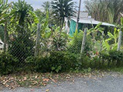 Chủ gửi bán gấp   đất rộng gần 1.500m    măng thít, vĩnh long 4