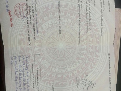 Cơ hội sở hữu 4 lô đất sát hồ đảo yến trung tâm hành chính đồng phú 4