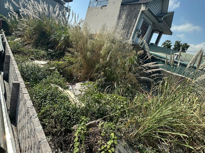 Cho thuê đất 200m2 tại cẩm bình   cẩm phả - quảng ninh. 0