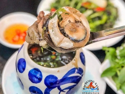 Thố Mắt Cá Ngừ Đại Dương Hầm 0