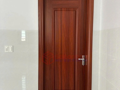 Cửa thép vân gỗ 1 cánh 2