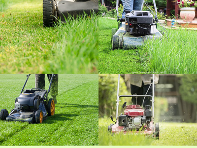 Báo giá cắt cỏ, cắt tỉa, chăm sóc cây xanh Đồng Nai mới nhất 2026 0