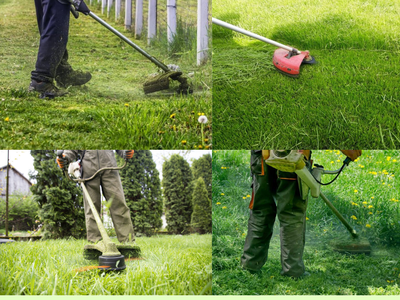 Báo giá cắt cỏ, cắt tỉa, chăm sóc cây xanh Đồng Nai mới nhất 2026 1