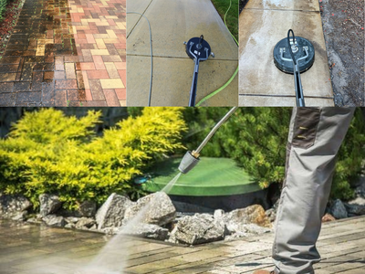 Báo giá cắt cỏ, cắt tỉa, chăm sóc cây xanh Đồng Nai mới nhất 2026 9