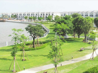 Chăm sóc cây xanh cảnh quan cho khu nghỉ dưỡng biệt thự cao cấp tại Tp. Hồ Chí Minh 2