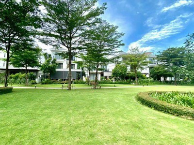 Chăm sóc cây xanh cảnh quan cho khu nghỉ dưỡng biệt thự cao cấp tại Tp. Hồ Chí Minh 3