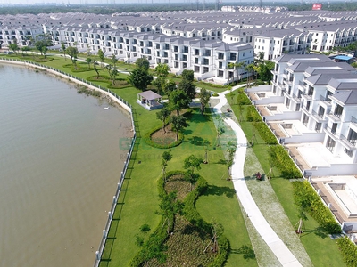 Chăm sóc cây xanh cảnh quan cho khu nghỉ dưỡng biệt thự cao cấp tại Tp. Hồ Chí Minh 4