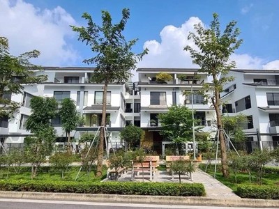 Chăm sóc cây xanh cảnh quan cho khu nghỉ dưỡng biệt thự cao cấp tại Tp. Hồ Chí Minh 0