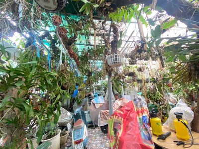 Bán Nhà Phố Tân Hưng 2 Tầng, Hẻm Ôtô Vào Nhà, Lâm Văn Bền, Mặt Tiền 5M, Chỉ 8.55 Tỷ 2