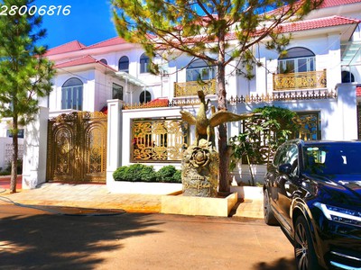 Bán đất đẹp xuất sắc tại phường trà đa, plei ku, gia lai, dt 198 m2, giá 12 triệu/m2 0