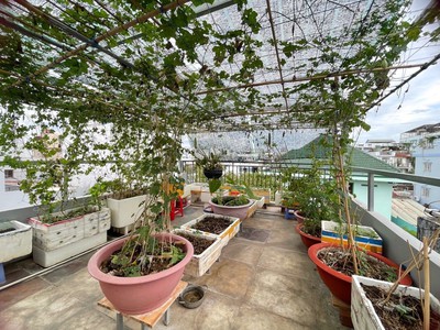 Chính chủ chưa qua đầu tư , diện tích khủng, giá siêu tốt, đường lớn ô tô. 4