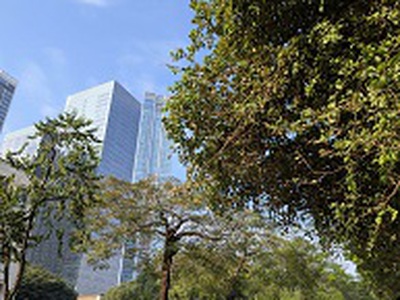 Siêu phẩm dòng tiền liễu giai   ba đình 1