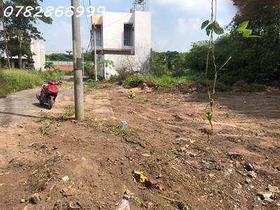 Đất tại đường 1/đt 769, sát bên sân bay long thành. 2,2 tỷ hạ giá còn 2 tỷ , diện tích 123m2 4