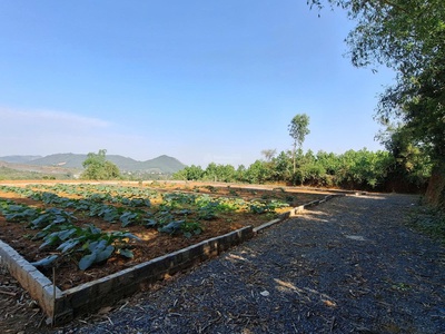 152 m2 giá 525 tr - đất chính chủ hòa lạc hn 4