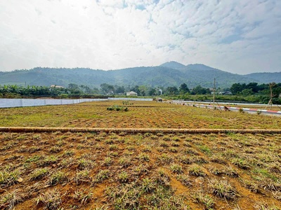 Bán lô góc 590m  Cư Yên, Lương Sơn   2 mặt tiền   trung tâm nghỉ dưỡng 3