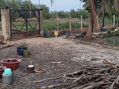 Bom tấn chỉ 1,8tr/m2 sổ hồng riêng nhà vườn củ chi 3600m2 - 6 tỷ 5 2