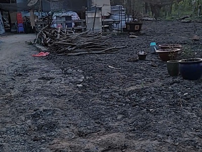 Bom tấn chỉ 1,8tr/m2 sổ hồng riêng nhà vườn củ chi 3600m2 - 6 tỷ 5 3