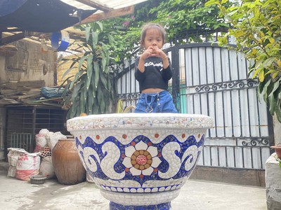 Chậu hoa chậu cảnh chậu hoa dán miễng , ghép sành sứ chậu to 10