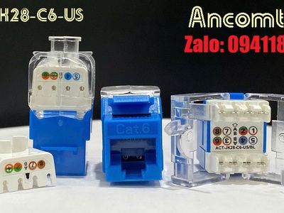 Sẵn kho patch panel 48 cổng Cat6 UTP 2U mã ACT-48S2U hàng chính hãng Ancomteck 5