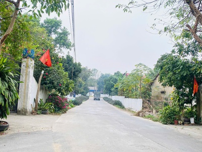 Bán đất Xuân Trường, Thanh Vân, Tam Dương, Vĩnh Phúc. DT 200m2 giá chỉ 2.9 tỷ 3