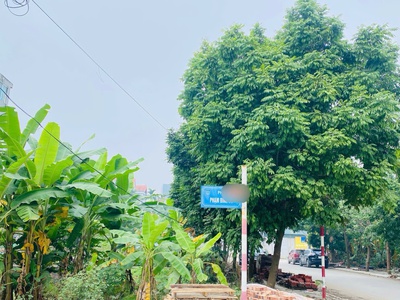 Bán lô góc khu Sốc Lường, Hội Hợp, Vĩnh Yên, Vĩnh Phúc. Giá chỉ 3,5 tỷ 4