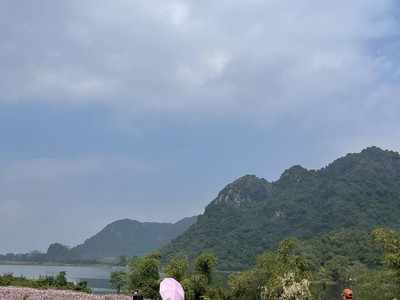    Thế Lực Nào Đang Làm Chao Đảo Thị Trường BDS Đầu Năm 2026 3