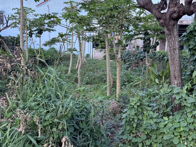 Bán đất mặt tiền trần nhân tông cẩm thanh, 200m , trục du lịch hội an, giá 6,5 tỷ 0