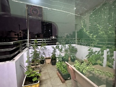 Bán nhà hxh Trần Hưng Đạo Q.5 - 45m2 - chỉ 9,5 tỉ có thang máy 2