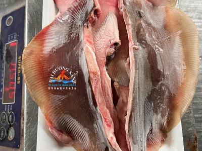 Cá Đuối Phi Lê   Giải Pháp Tiện Lợi Cho Người Bận Rộn 0