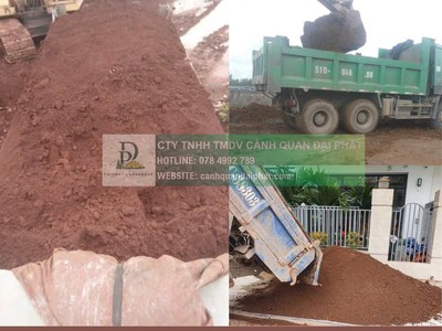 Cung cấp đất trồng cây công trình Đồng Nai TPHCM 2026 0