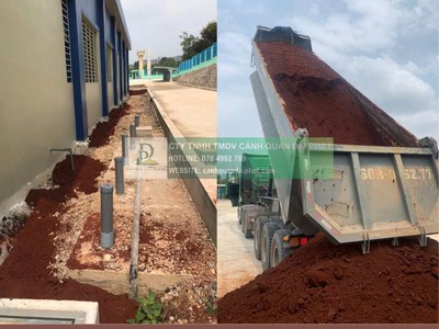 Cung cấp đất trồng cây công trình Đồng Nai TPHCM 2026 2