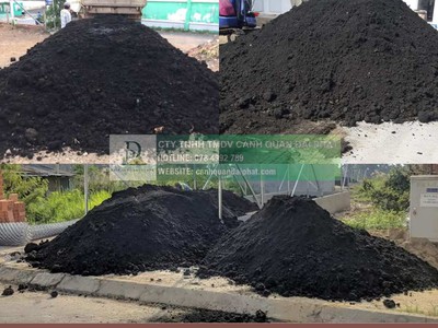 Cung cấp đất trồng cây công trình Đồng Nai TPHCM 2026 5