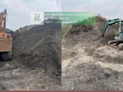 Cung cấp đất trồng cây công trình Đồng Nai TPHCM 2026 6