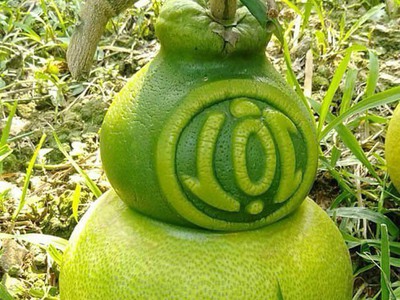 Bưởi Hồ Lô Tài Lộc quà tết cao cấp 2026 4