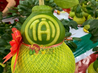 Bưởi Hồ Lô Tài Lộc quà tết cao cấp 2026 2