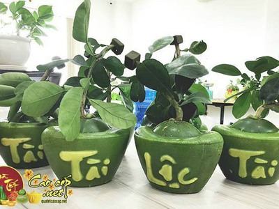 Bưởi Hồ Lô Tài Lộc quà tết cao cấp 2026 9