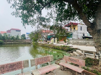 Chính chủ vc em cần tiền gấp bán lô đất tâm huyết siêu vip tại xã đại đồng, văn lâm, hưng yên 1