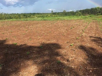 1 sào 8 phủ hồng thổ cư giá 1 tỷ950 2