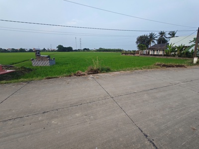 Bán lô đất lúa chuyển thổ đường bê tông 6m giá 1,55 tỷ 2