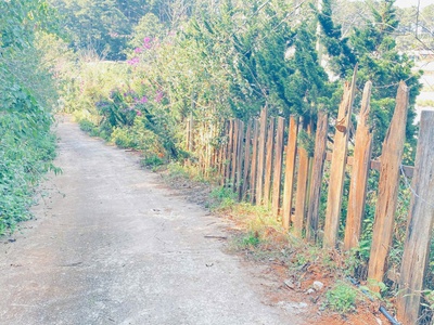 Đất phân quyền giá rẻ, khu dân cư đang phát triển vạn thành, phường 5 đà lạt 1