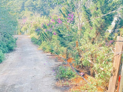 Đất phân quyền giá rẻ, khu dân cư đang phát triển vạn thành, phường 5 đà lạt 3